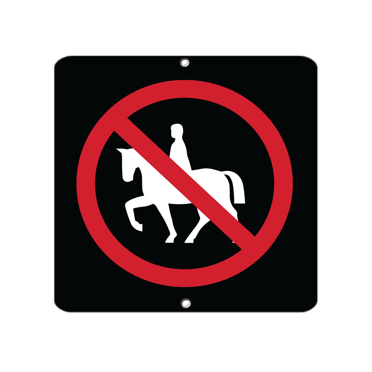 Aluminum Square Metal Sign Multiple Sizes No Horse Riding Activity Campground